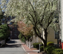 Boston-27