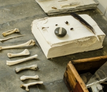 GerberickStudio-06