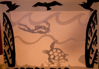 Turtle and diver in a Villani shadow box