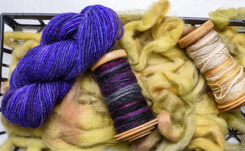 Gold roving, a purple skein, and two bobbins full.