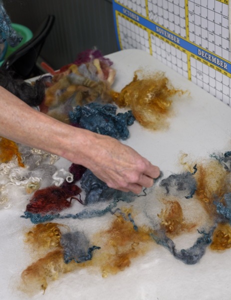 Hand placing colored fleece on a white background of wool.