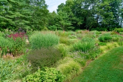 The perennial gardens at Campo di Fiori are quite stunning.