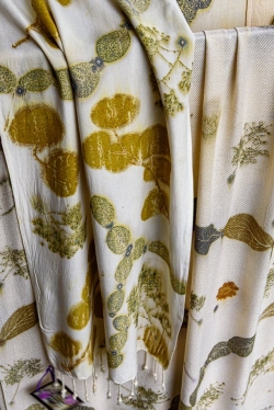 In eco-dyeing, leaves, stems and the plants themselves yield col