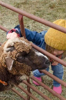 scratch and ear make a new friend