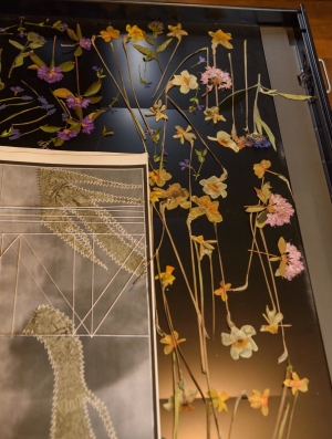 Kimberly dries pressed flowers from her gardens in a metal flat file. The press she uses was a gift from another artist.