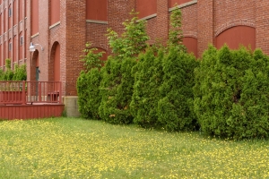 Jagger Spun mill in Springvale, Maine.