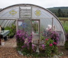 Compass Rose greenhouse. Cute. Compass Rose greenhouse. Cute.