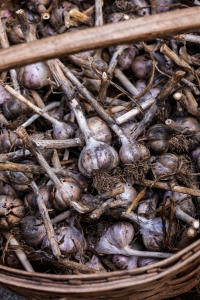 Garlic Basket