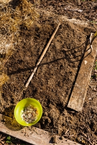 Marking The Rows
