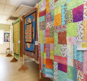 Fran Miller, "Tula Pink Turning Twenty" (in foreground)