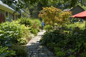 The Burns' studios are surrounded by extensive gardens.
