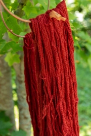 ChristineMacchi_HatchtownDyeDay-11
