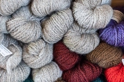 ChristineMacchi_HatchtownDyeDay-12