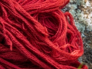 ChristineMacchi_HatchtownDyeDay-16