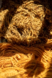 ChristineMacchi_HatchtownDyeDay-24