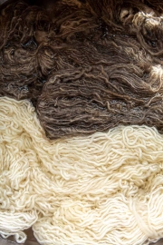 ChristineMacchi_HatchtownDyeDay-6