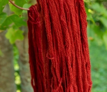ChristineMacchi_HatchtownDyeDay-11