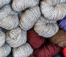 ChristineMacchi_HatchtownDyeDay-12