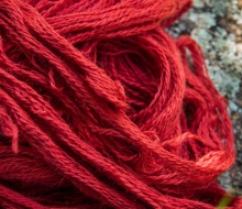 ChristineMacchi_HatchtownDyeDay-16