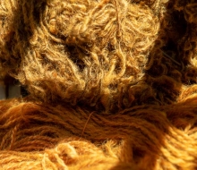 ChristineMacchi_HatchtownDyeDay-24
