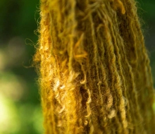 ChristineMacchi_HatchtownDyeDay-25