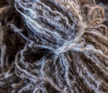 ChristineMacchi_HatchtownDyeDay-5