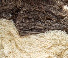 ChristineMacchi_HatchtownDyeDay-6