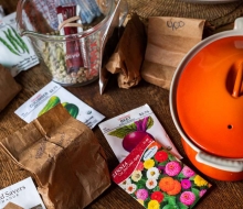 Sorting seeds