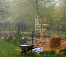 Gardening!