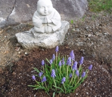 Budda