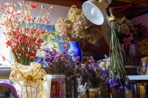 Dried flowers for inspiration.