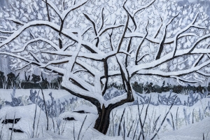 Sarah Ann Smith, "The Old Apple Tree"