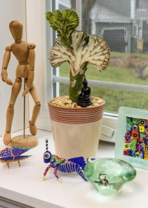 Window scene