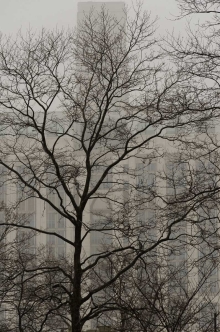 Back out into the fog.