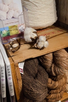 Cotton and its origins.