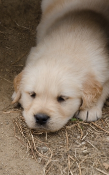 So cute!