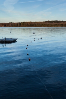 Rangeley-03