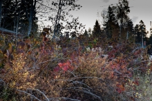 Rangeley-04