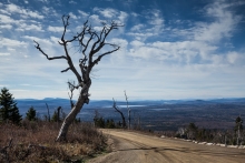 Rangeley-05