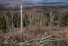 Rangeley-06