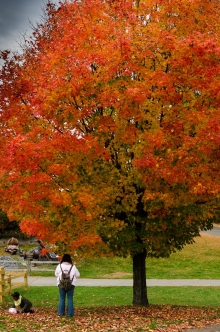 at the height of Autumn