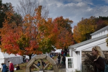 beautiful fairgrounds