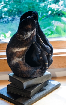 another vessel