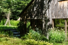a gorgeous summer day!